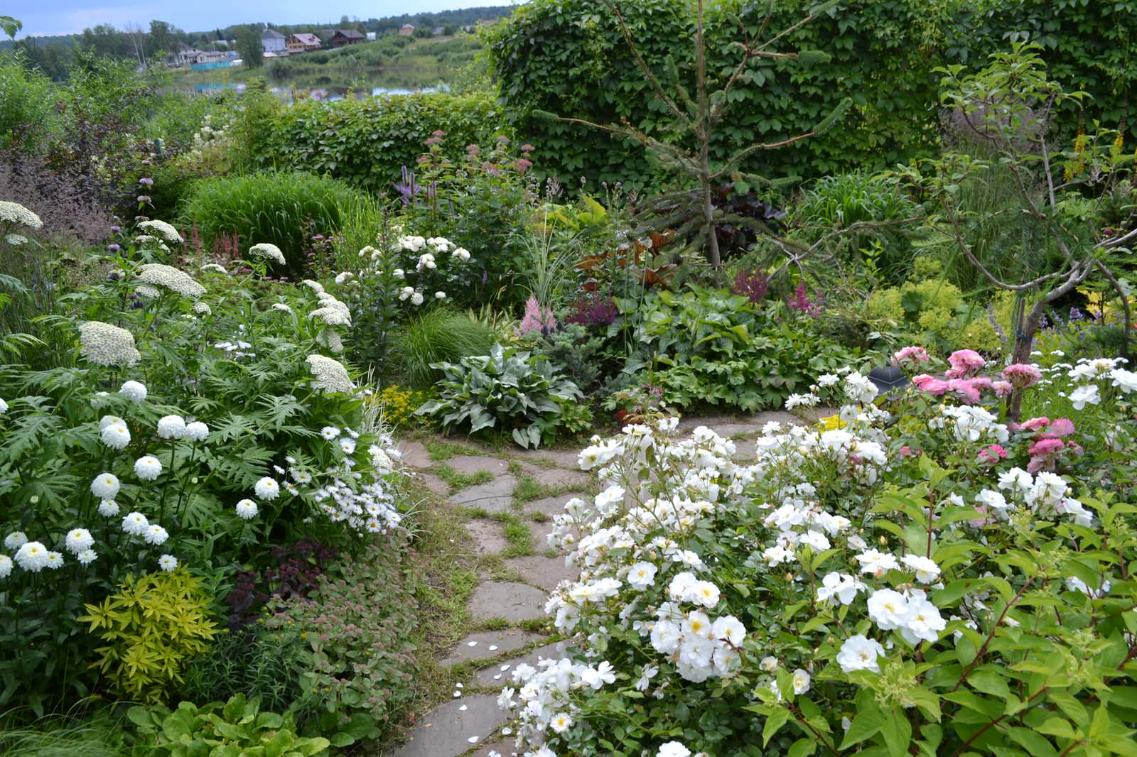 Сад  «Моя цветущая планета».