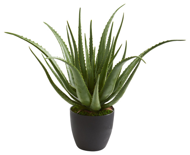 Aloe Artificial Plant
