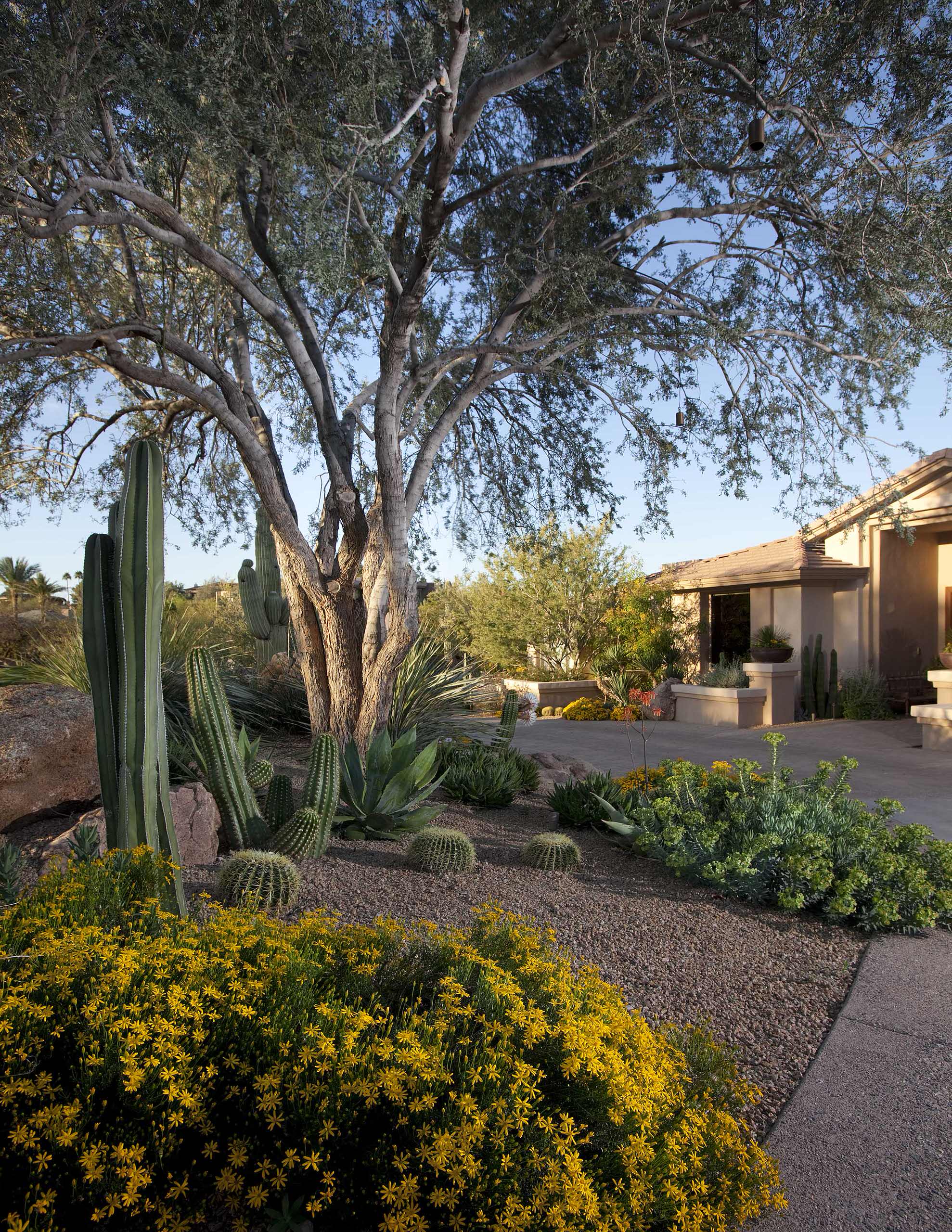 75 Desert Landscaping Ideas You'll Love - January, 2026 | Houzz, image size:1978x2560