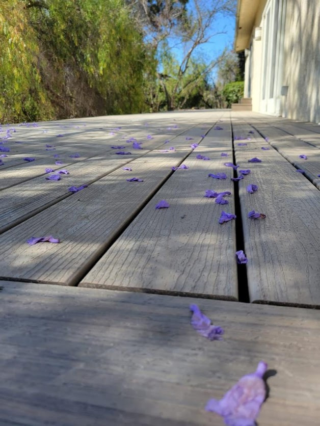 Custom Deck Areas