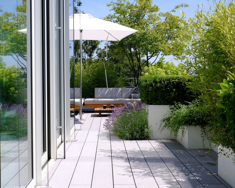 Immagine di una terrazza minimal sul tetto e sul tetto con un giardino in vaso, una pergola e parapetto in vetro