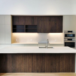BAIDHANI INTERIORS - Project Photos & Reviews - montreal, QC CA