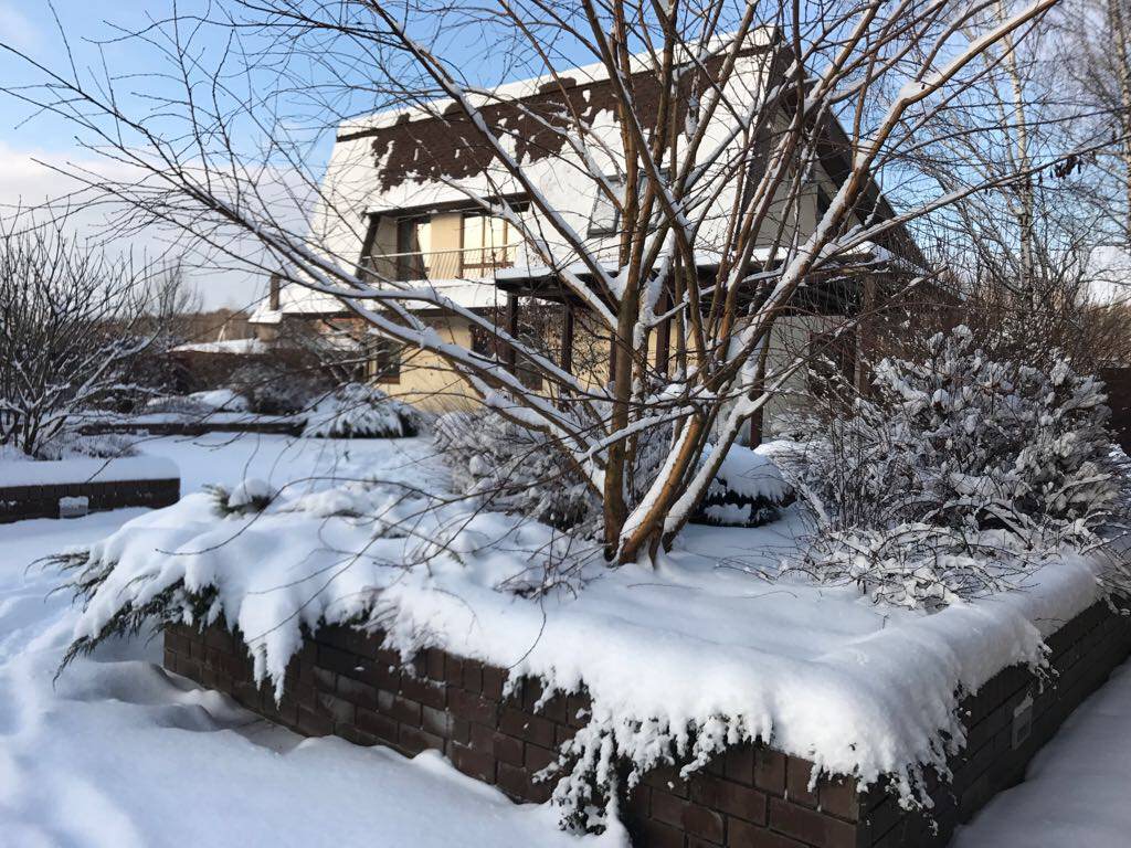 Зимний сад в Наро-Фоминске