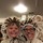 audrey_hendricks13