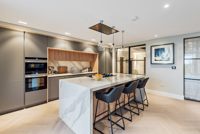 Stylish Comtemporary Kitchen trendy-koekken