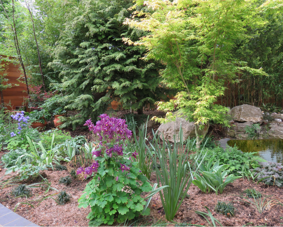 Back Garden, London