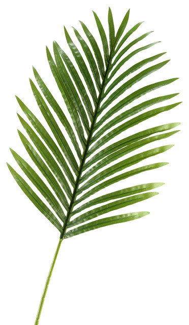 Hawaiian Palm Leaf, Set of 3 - Tropical - Artificial Plants And Trees ...