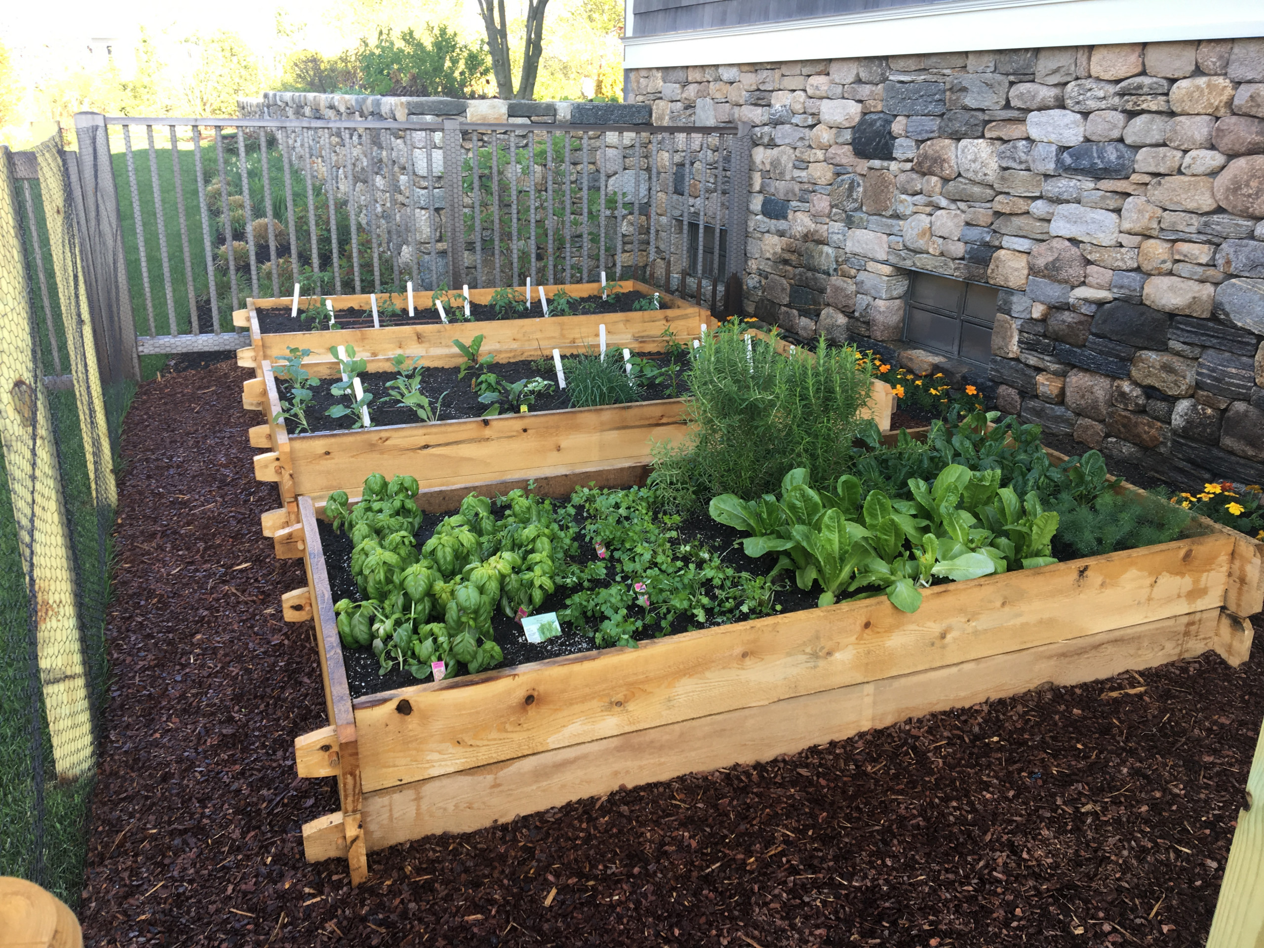 "Raised and Traditional Vegetable Gardens"