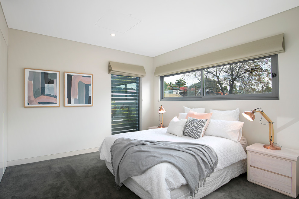 Small contemporary guest bedroom in Sydney with white walls, carpet, grey floor and no fireplace.