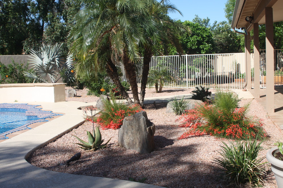 Photo of a tropical garden in Phoenix.