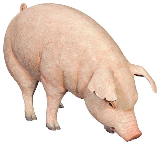 Divine Swine Life Size Farm Pig Statue Frt Farmhouse Garden Statues