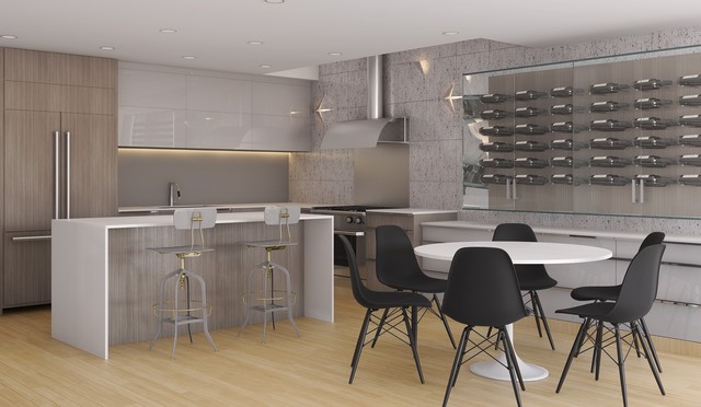 KITCHENS contemporary-kitchen