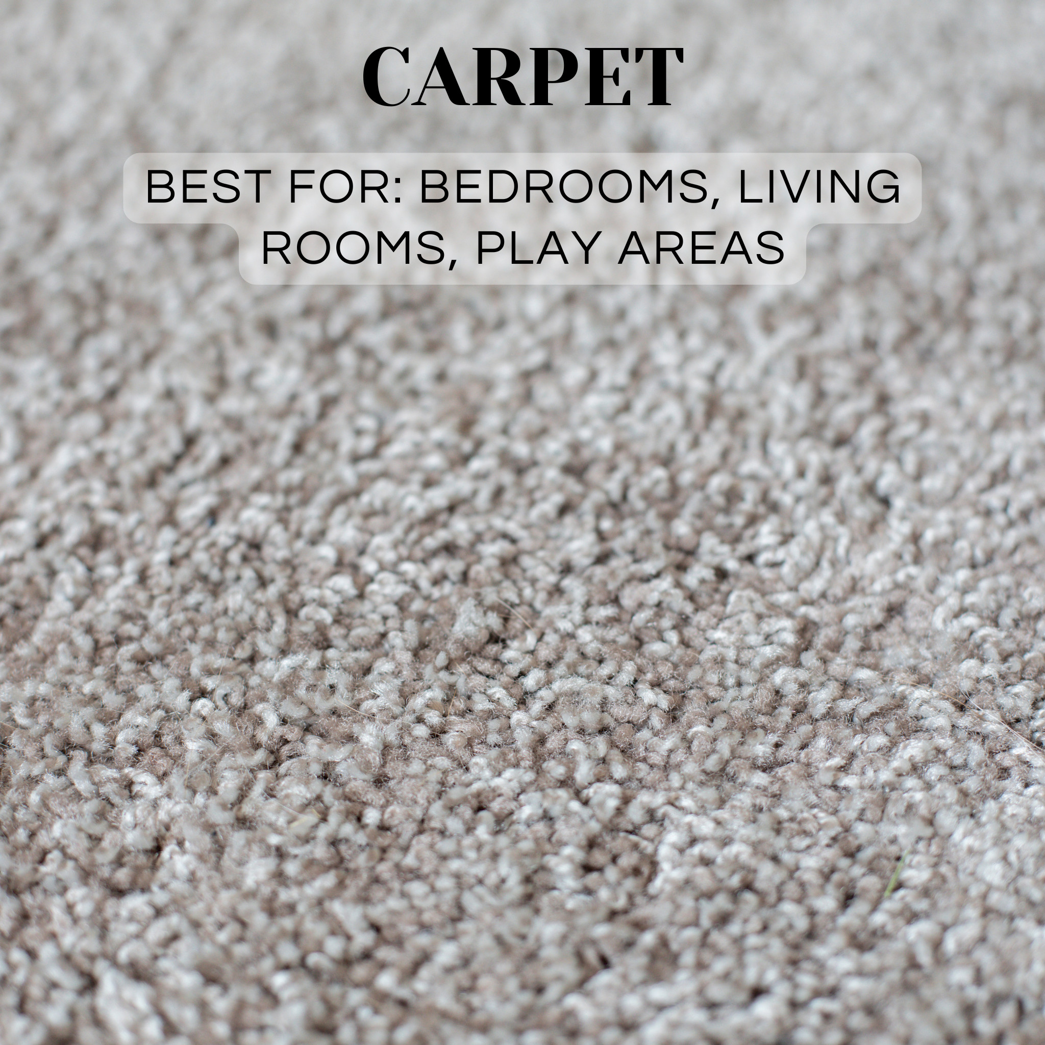 CARPET