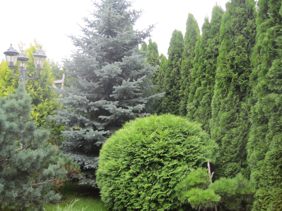 Благоустройство и озеленение