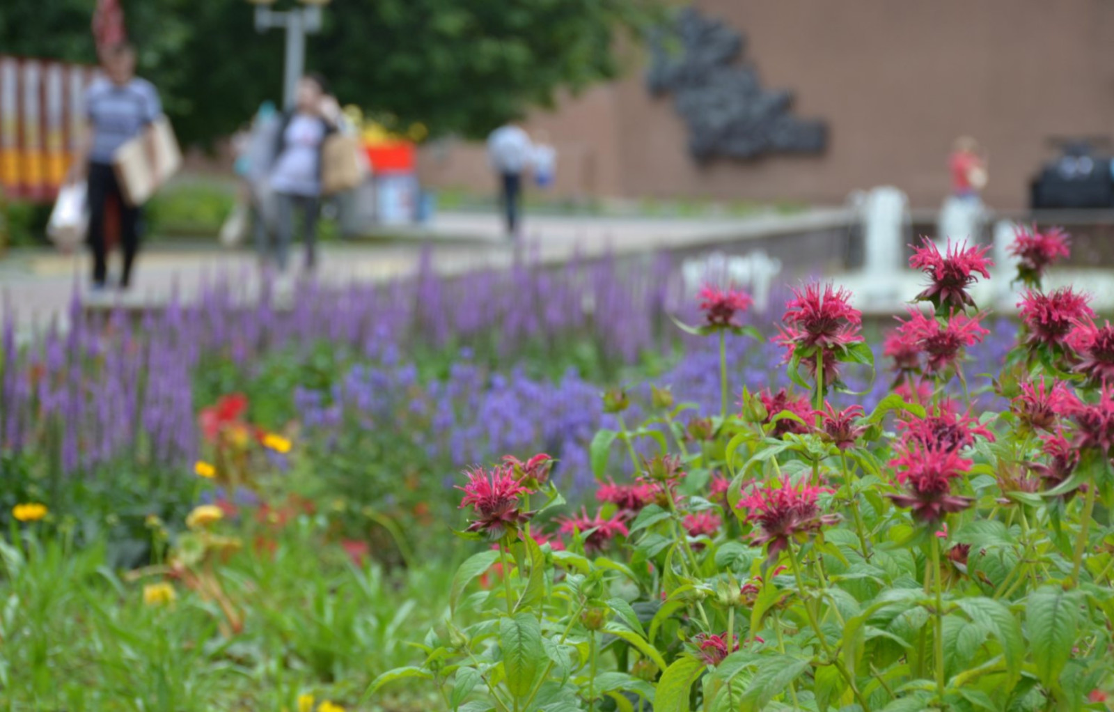 Сквер им. Чапаева в Чебоксарах