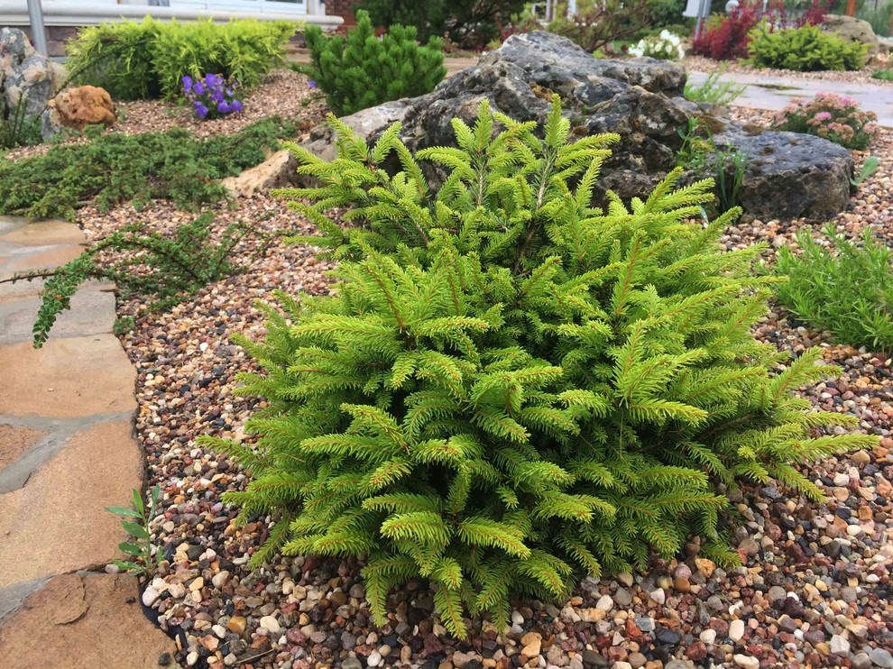 Участок в КП Гринвич