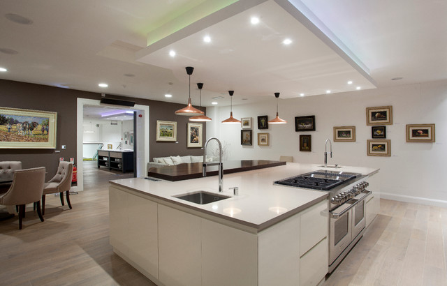 Eucalyptus contemporaneo-cocina