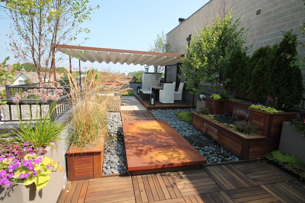 Mid-sized contemporary rooftop deck in Chicago with a water feature and a pergola.