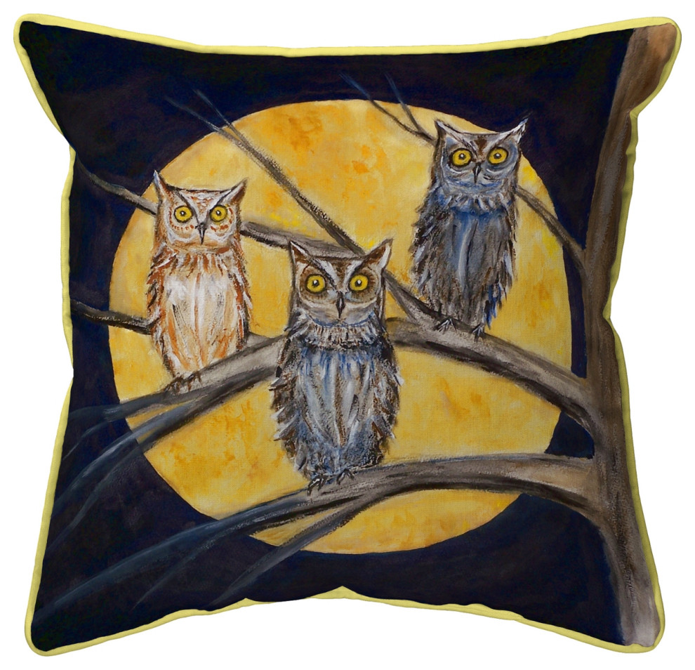 Night Owls Large Indoor/Outdoor Pillow 18x18