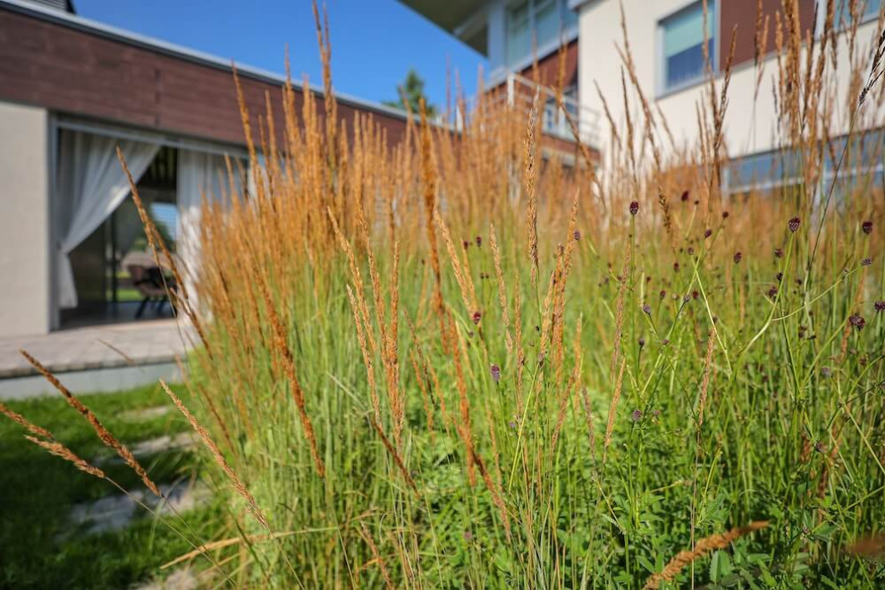 Частный сад "Современный минимализм"