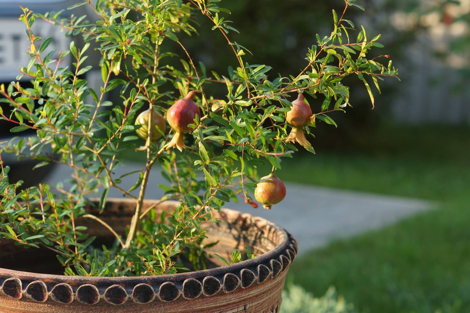 Дом в восточно-европейском стиле