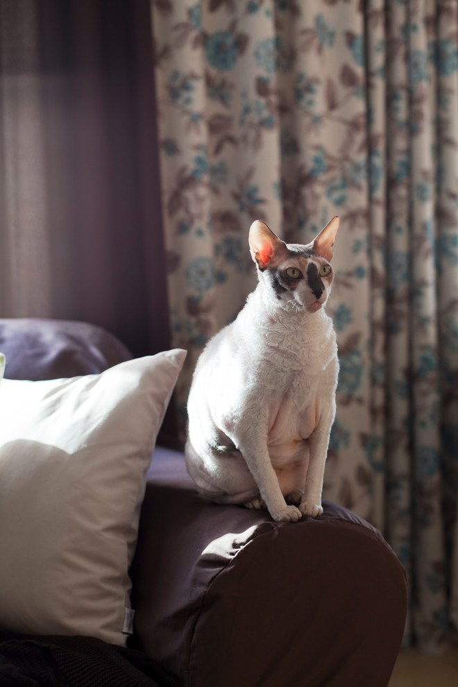 В гостях: Уютная квартира на Октябрьском поле