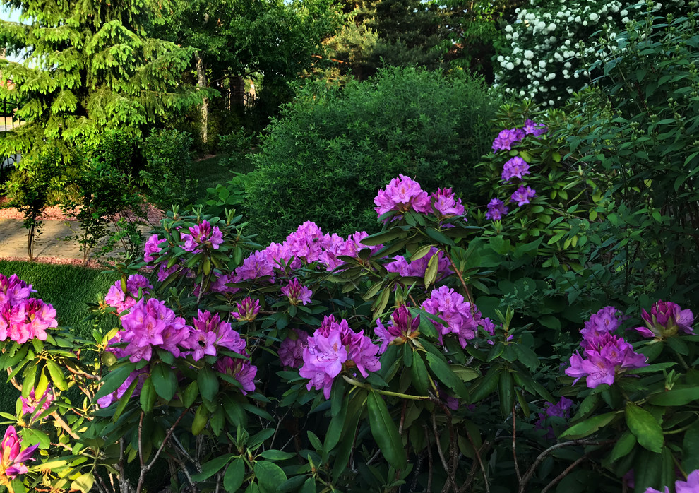 КП Княжье Озеро, 0,16 га