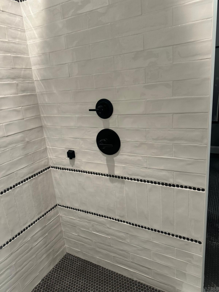 Modern Contemporary Shower Remodel -Peninsula Park Lndg Hermitage, TN 37076