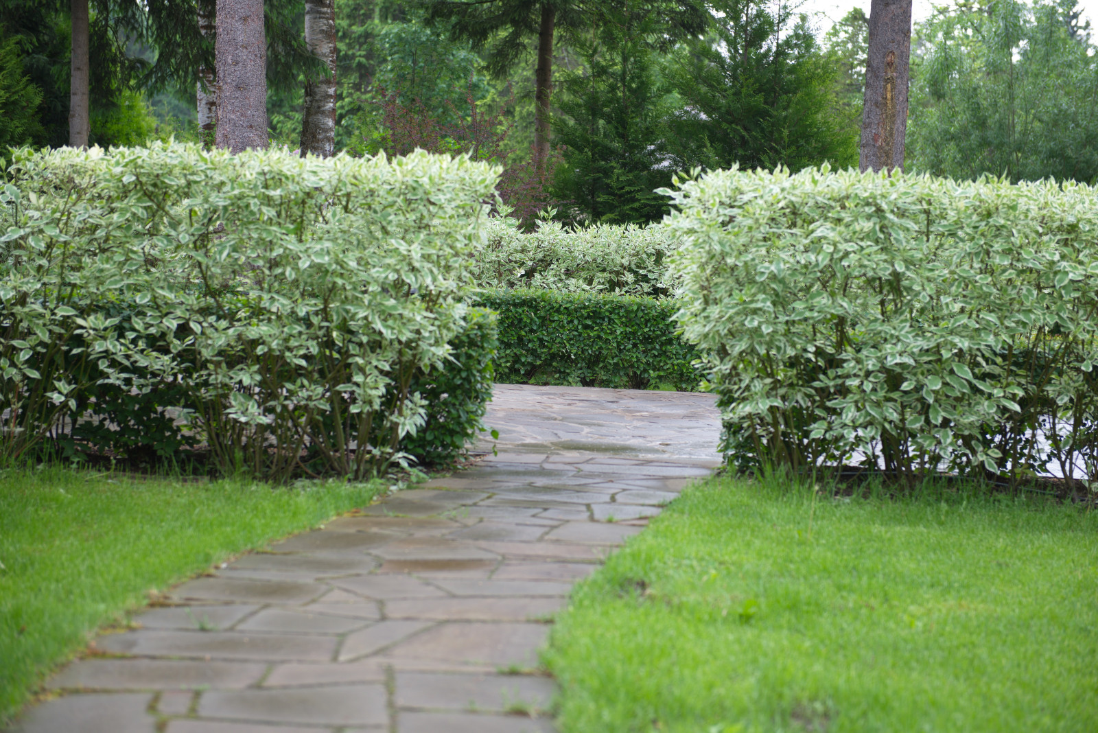 Paving. Типы покрытий, мощение