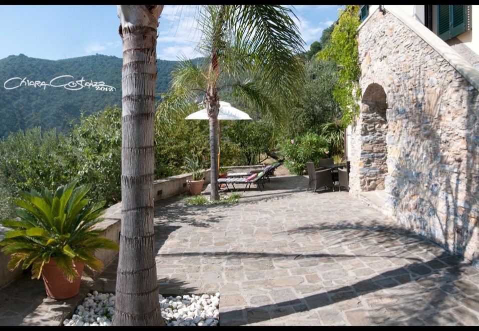 Piscina e giardino di villa e B&B Le Palme