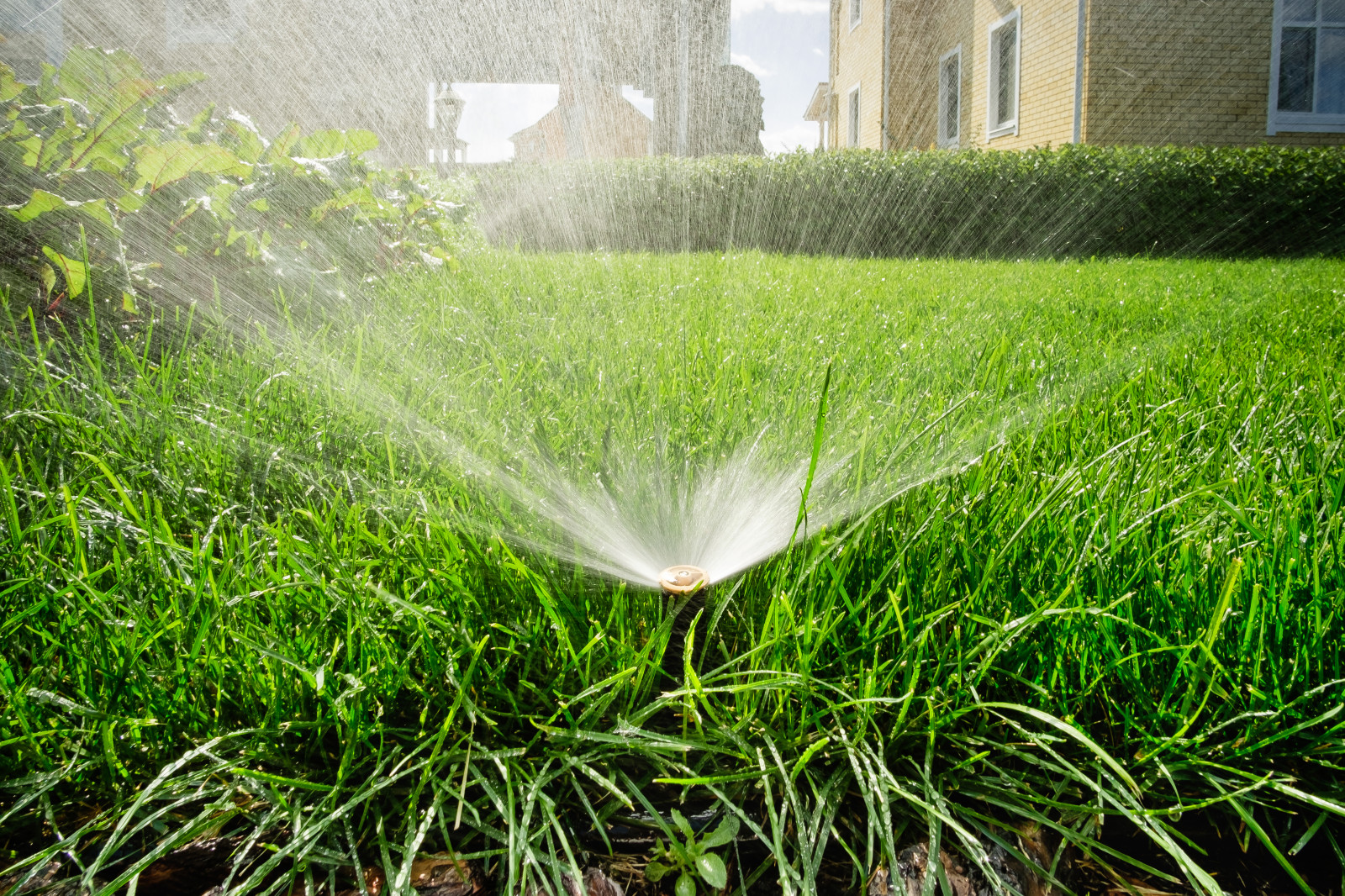 Примеры работ