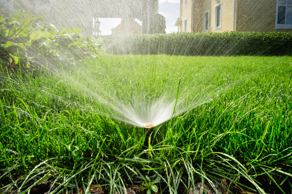 Примеры работ