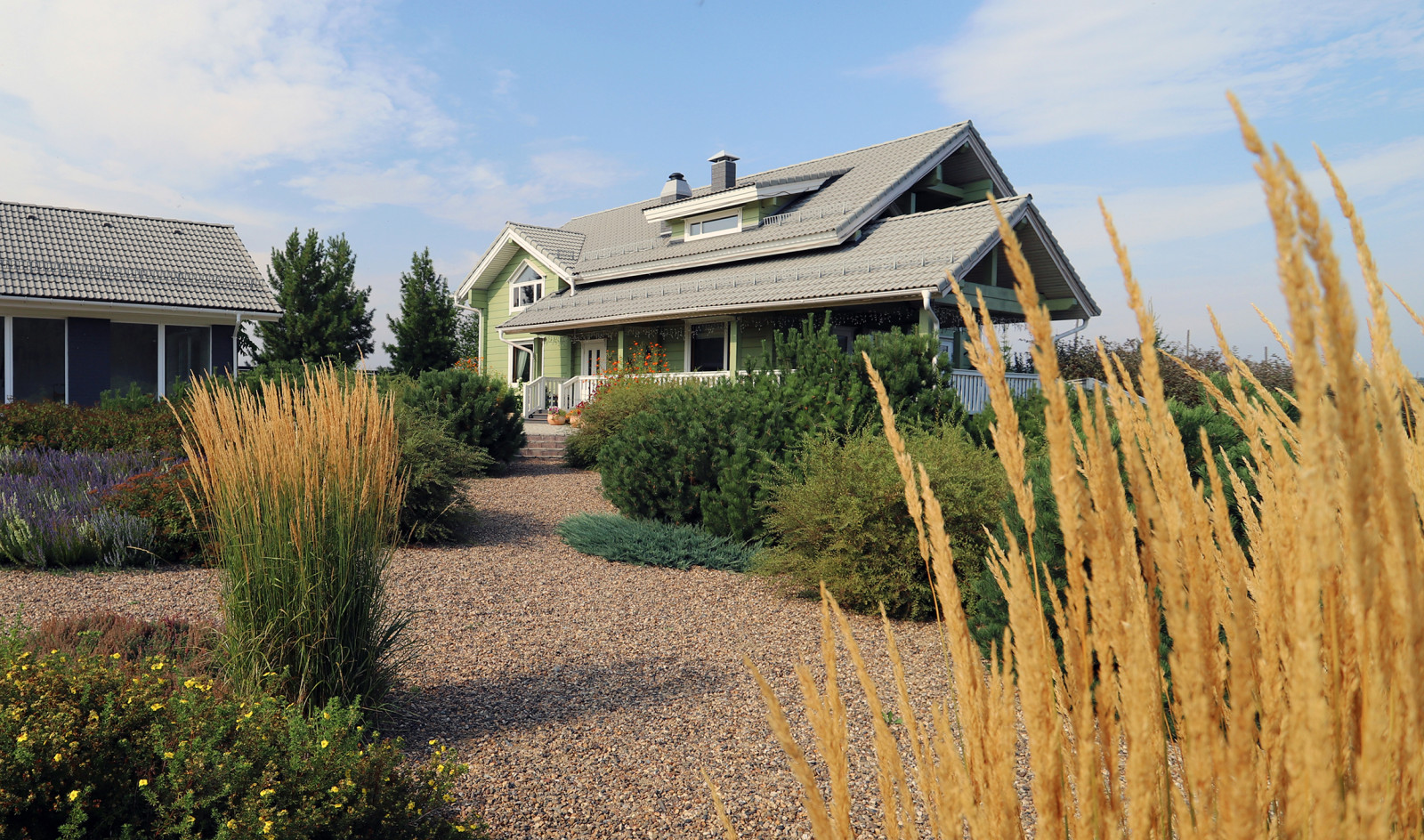 Полынный берег. Новые снимки