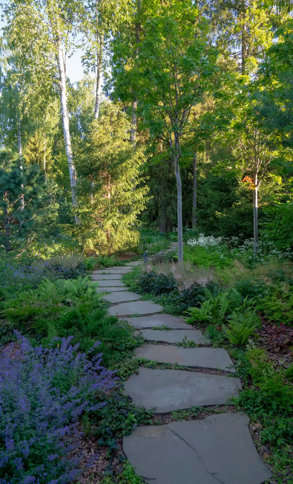 Cette photo montre un grand jardin arrière nature l'été avec un chemin, une exposition partiellement ombragée, des pavés en pierre naturelle et une clôture en métal.
