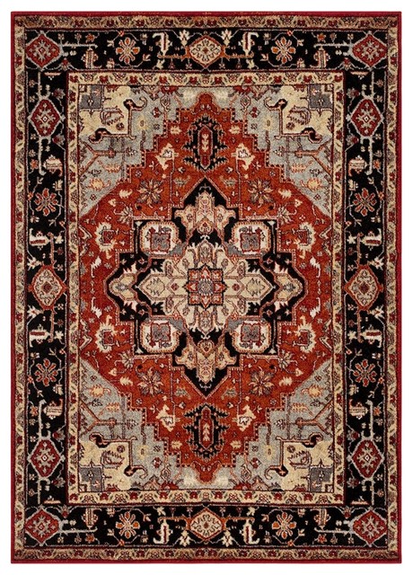 Serapi Traditional Medium Gray Dark Red Area Rug 6 7 X9