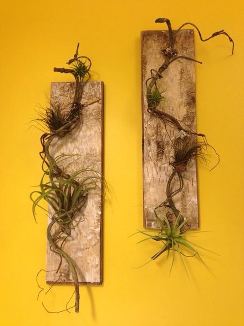 wall hanging plant Minimalist Hanging Planter – Novus Decor main image 0
