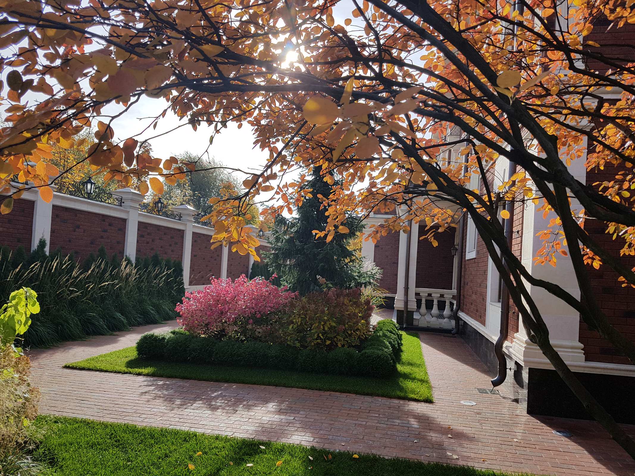 Сад с аурой.Осенние краски.