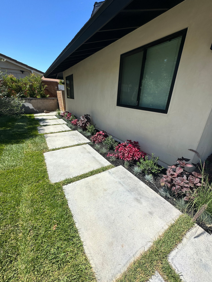 Design ideas for a large modern side yard full sun formal garden for summer in Los Angeles with a container garden, with flowerbed, with lawn edging, with path and concrete pavers.