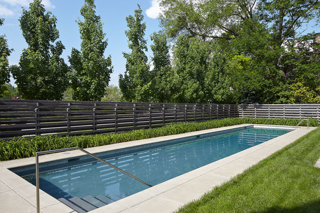 Aaron/Levin Residence contemporary-swimming-pool
