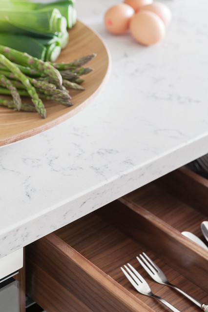 Queen Square transitional-kitchen