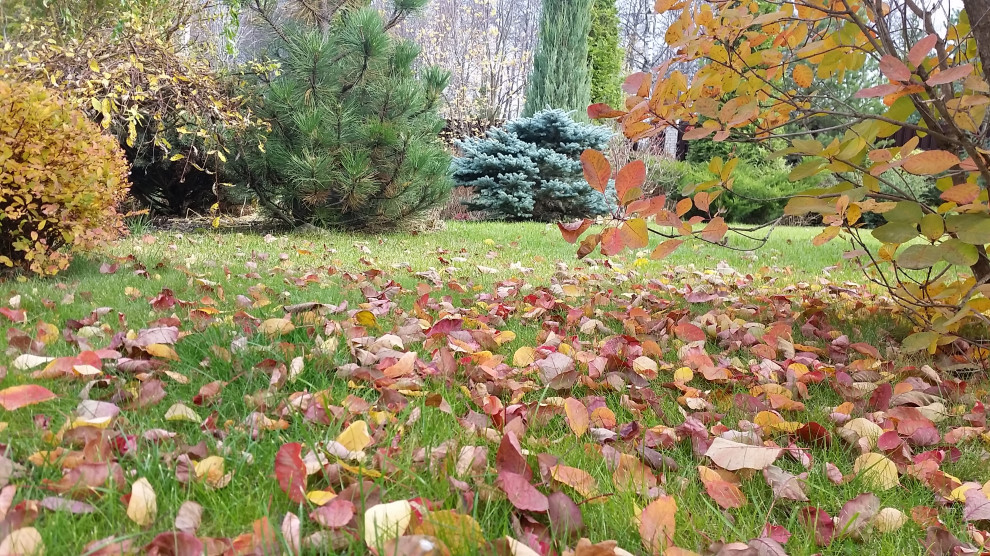 Ландшафтный проект 5