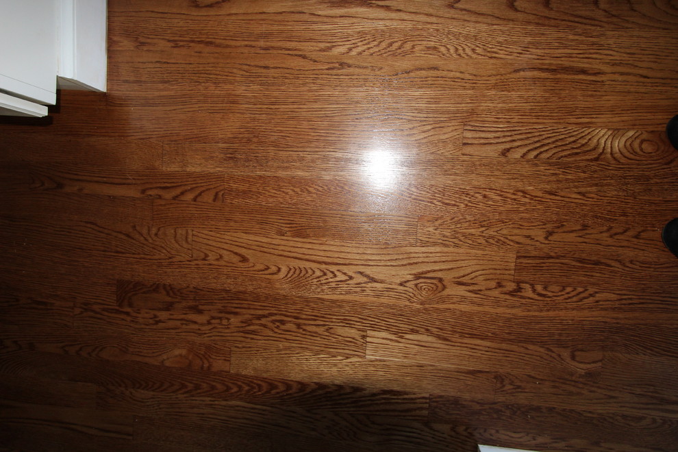 Magnificent Transformation-Project 2481