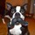 webuser_7600