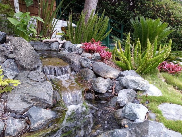Malibu home tropisch-garten