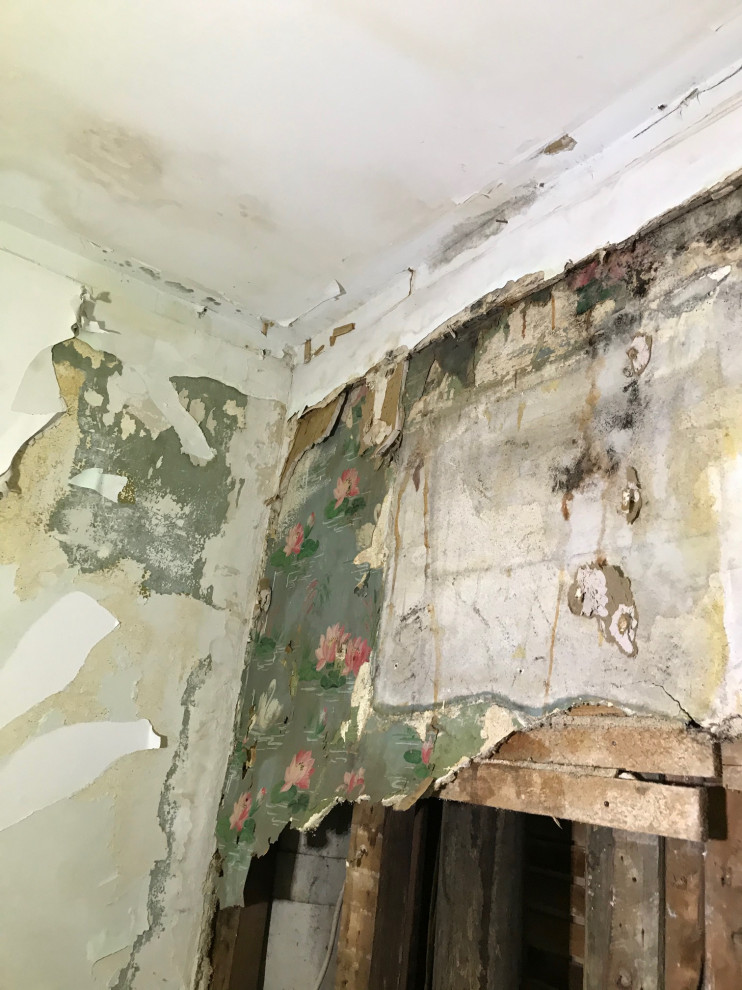 Water mitigation