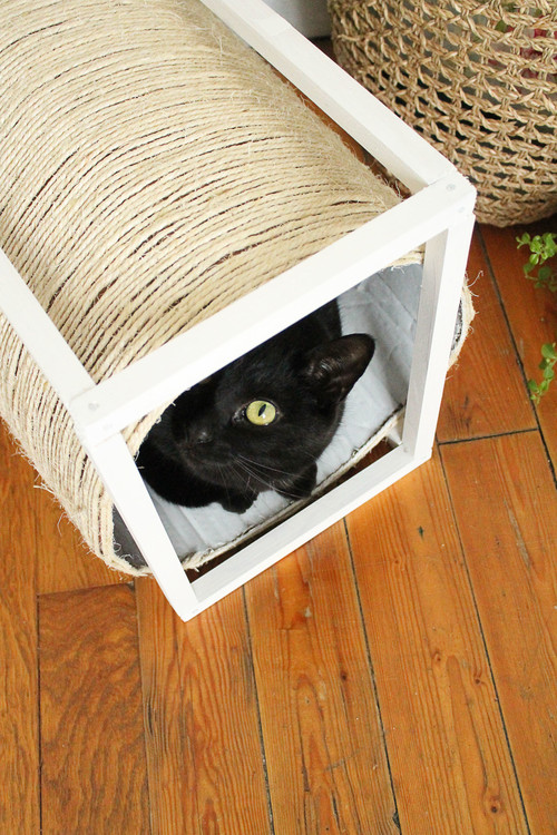 DIY : Fabriquez une cabane pour votre chat avec griffoir intégré