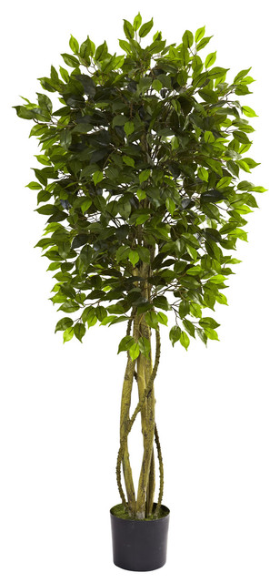 Thornwood Artificial Ficus Tree Traditional Plants Thornwood Artificial Ficus Tree