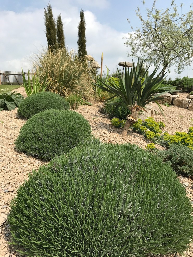 Mid-sized mediterranean sloped full sun xeriscape in Other with gravel for spring.