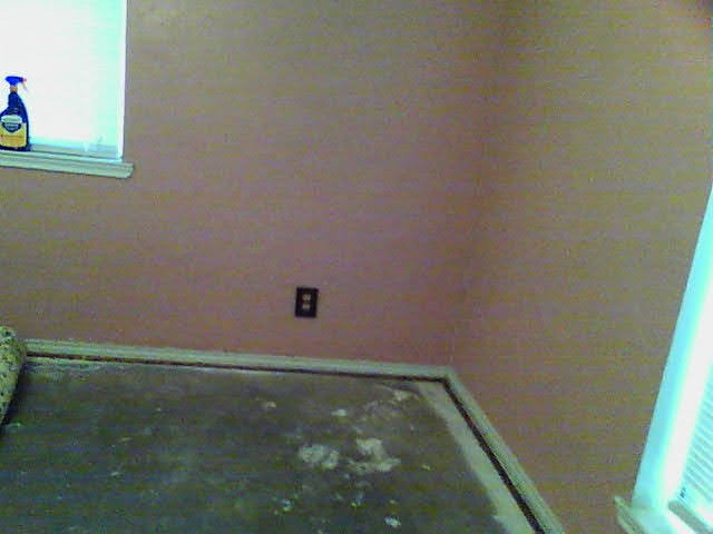 Kitchen Water Damage