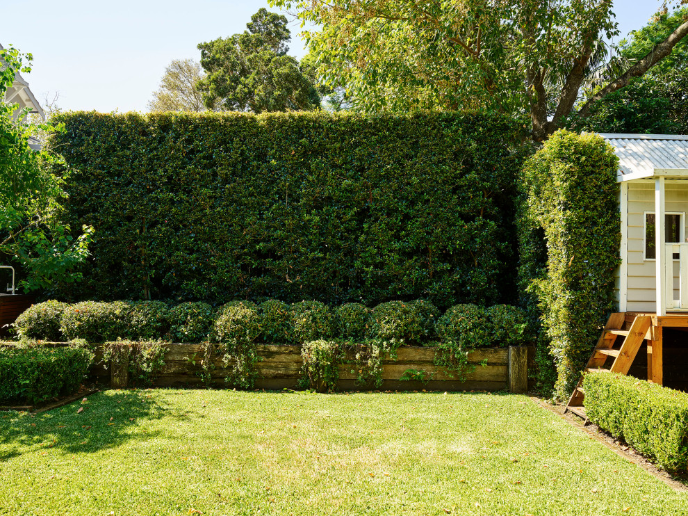 Photo of a large contemporary backyard formal garden in Sydney.